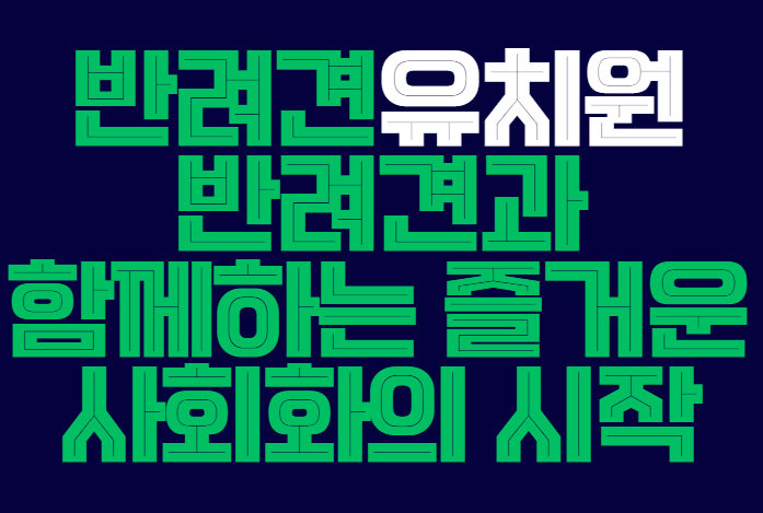 반려견유치원