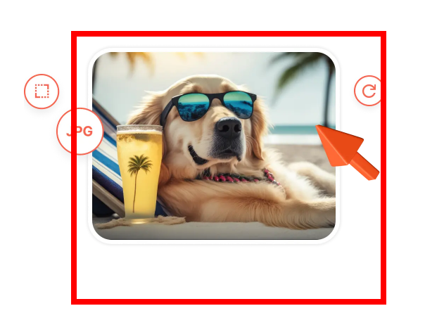 알씨 동영상 무료 다운로드 사이트