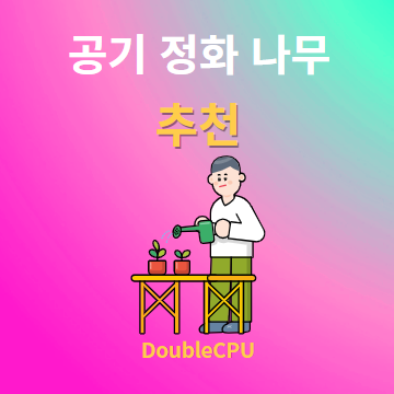 공기 정화 나무 추천