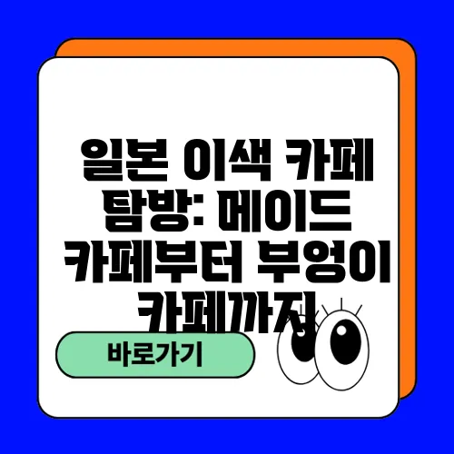 일본 이색 카페 탐방: 메이드 카페부터 부엉이 카페까지