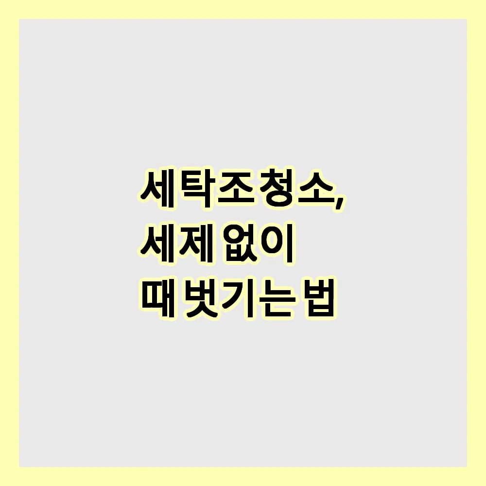 세탁조 청소, 세제 없이도 찌든 때 벗기는 비법은?