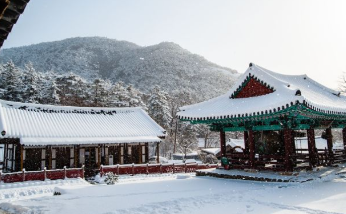 1월 전라북도 가볼만한곳 여행지 ❘ 국내 겨울 명소 추천 ❘ 전라도 ❘ 데이트 가족 실내 나들이