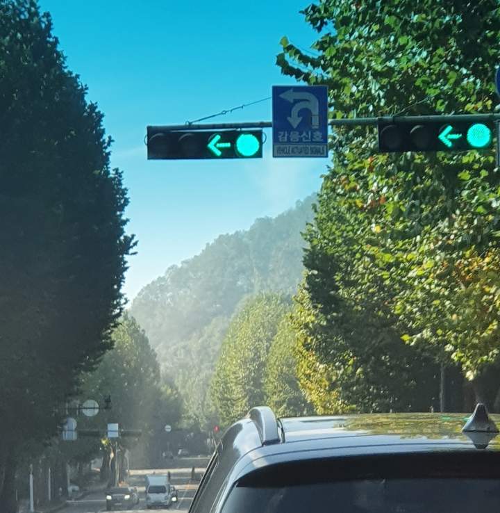 감응신호-표지