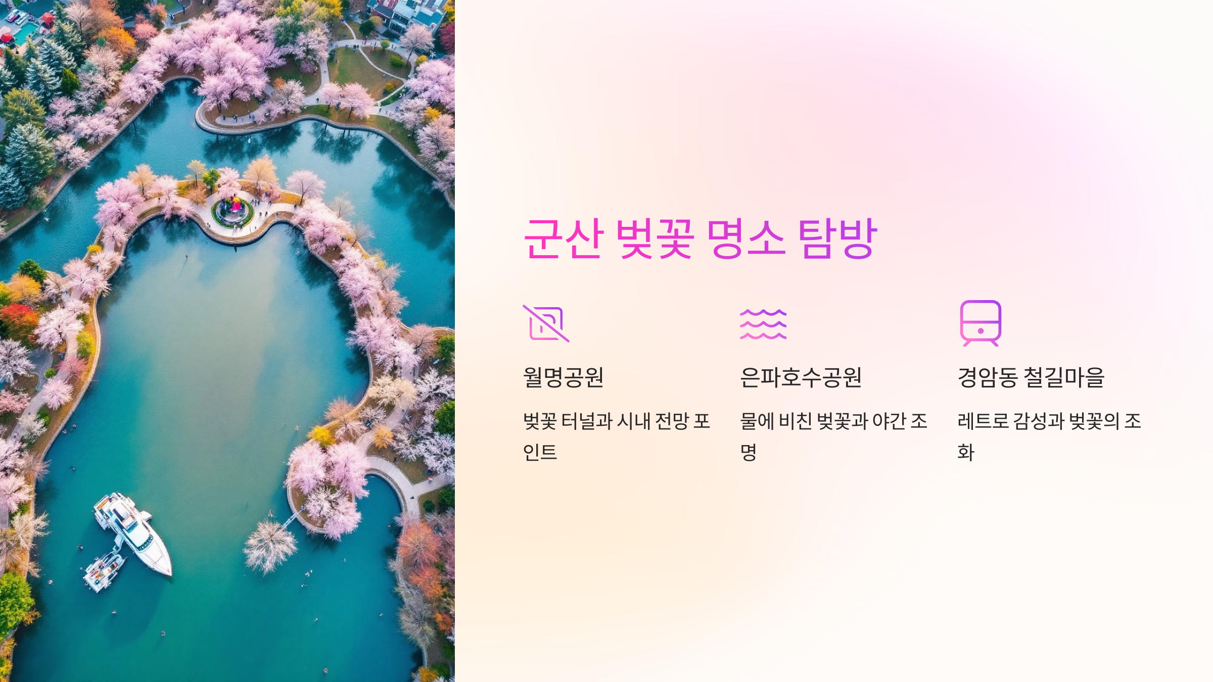 📍 군산 벚꽃 명소 탐방