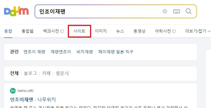 검색 엔진에서 인조이제팬을 검색하는 화면