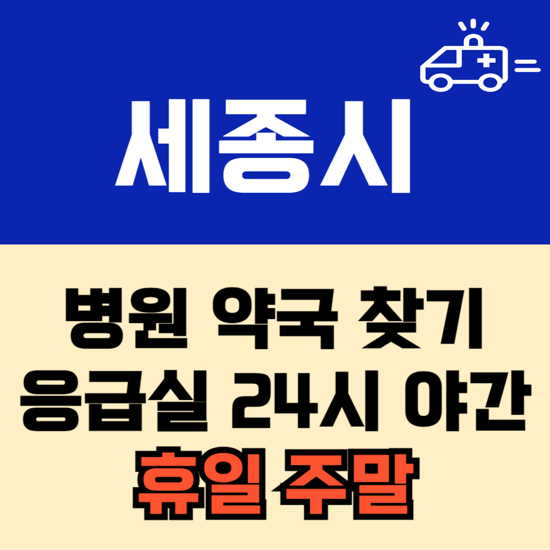 세종시 주말 일요일 공휴일 24시 당번 약국 병원 응급실 : 빠르게 찾기!!