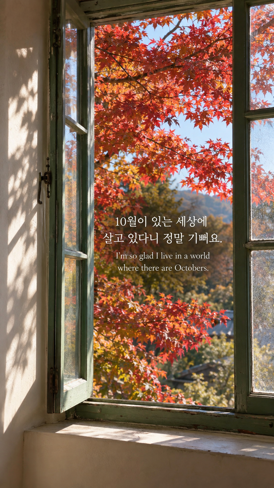 루시 모드 몽고메리의 10월의 반가움에 관한 가을 글귀 &mdash; 한글과 영어 원문을 담은 디지털 카메라 사진