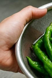 꽈리고추 멸치볶음