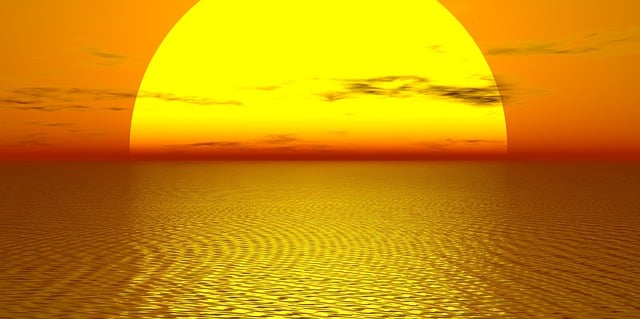 뱀에게 쫓기는 꿈 해몽 풀이