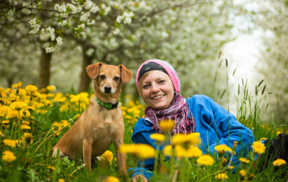 들판에서 노란 민들레 사이에 앉아 있는 개와 웃고 있는 보호자, 개와 인간의 친밀한 유대감을 보여주는 장면