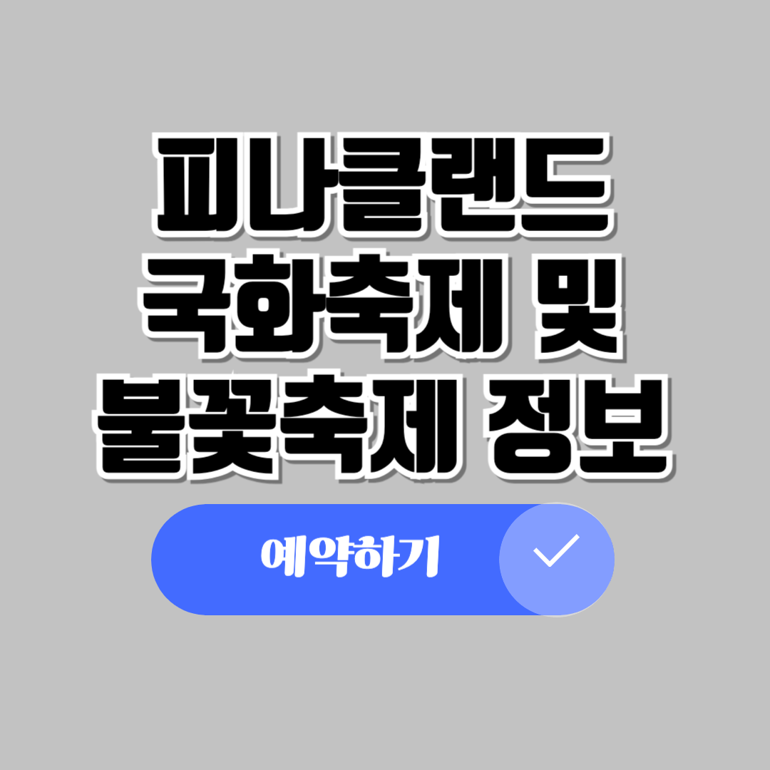 피나클랜드국화축제불꽃축제