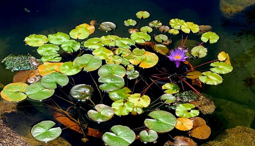 산청 수선사