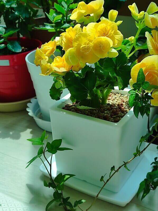 베란다정원-만들기