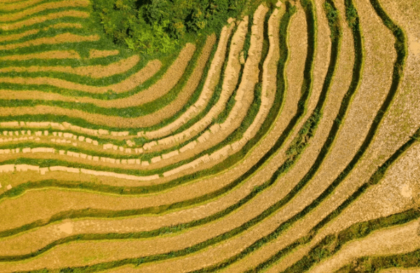 사파 여행 완벽 가이드: 베트남의 숨겨진 비경