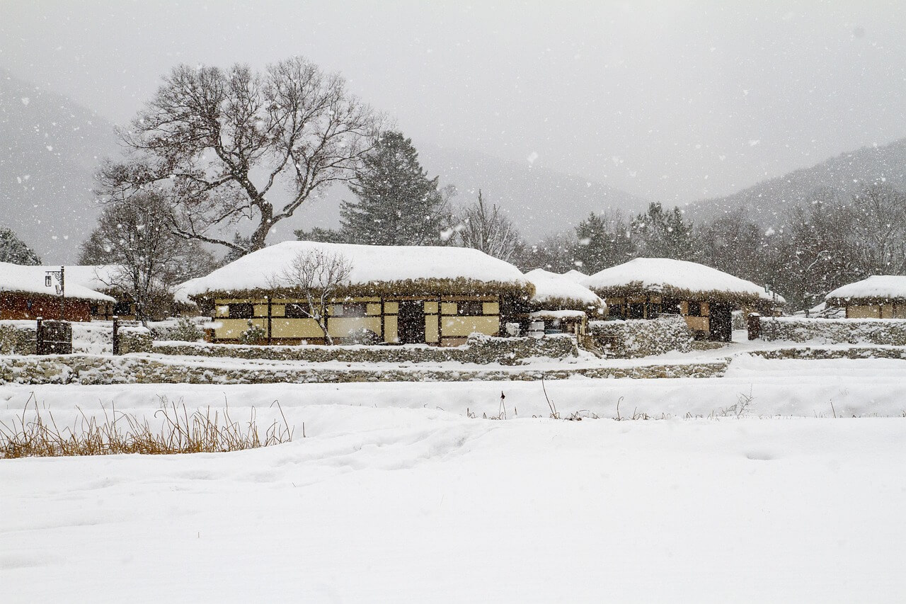 폭설 한파 재난지원금 신청방법
