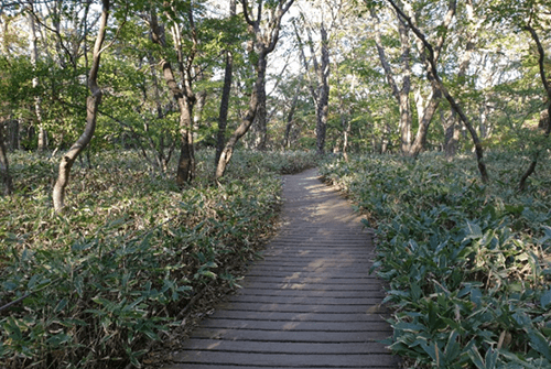 성판악24