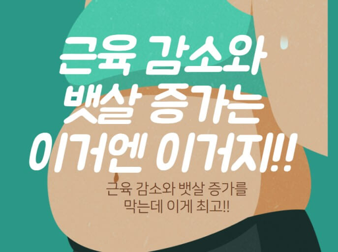 근육즁지하고 뱃살 줄이기