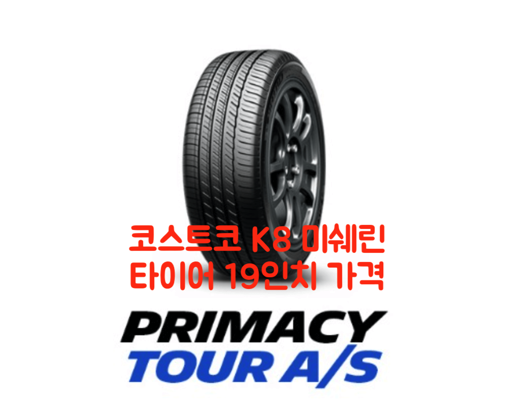 코스트코 미쉐린 가격