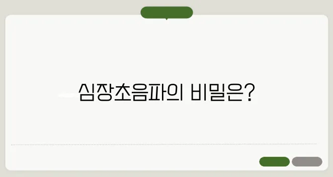 심장초음파 검사방법 절차와 비용까지 총정리