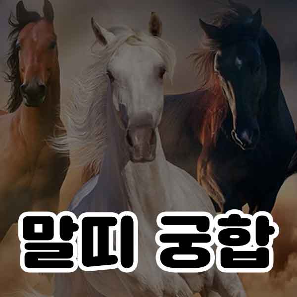 말띠 궁합-썸네일