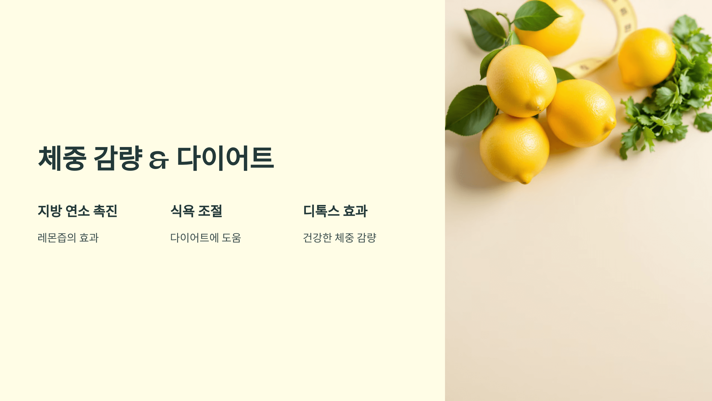 레몬즙 사진입니다.