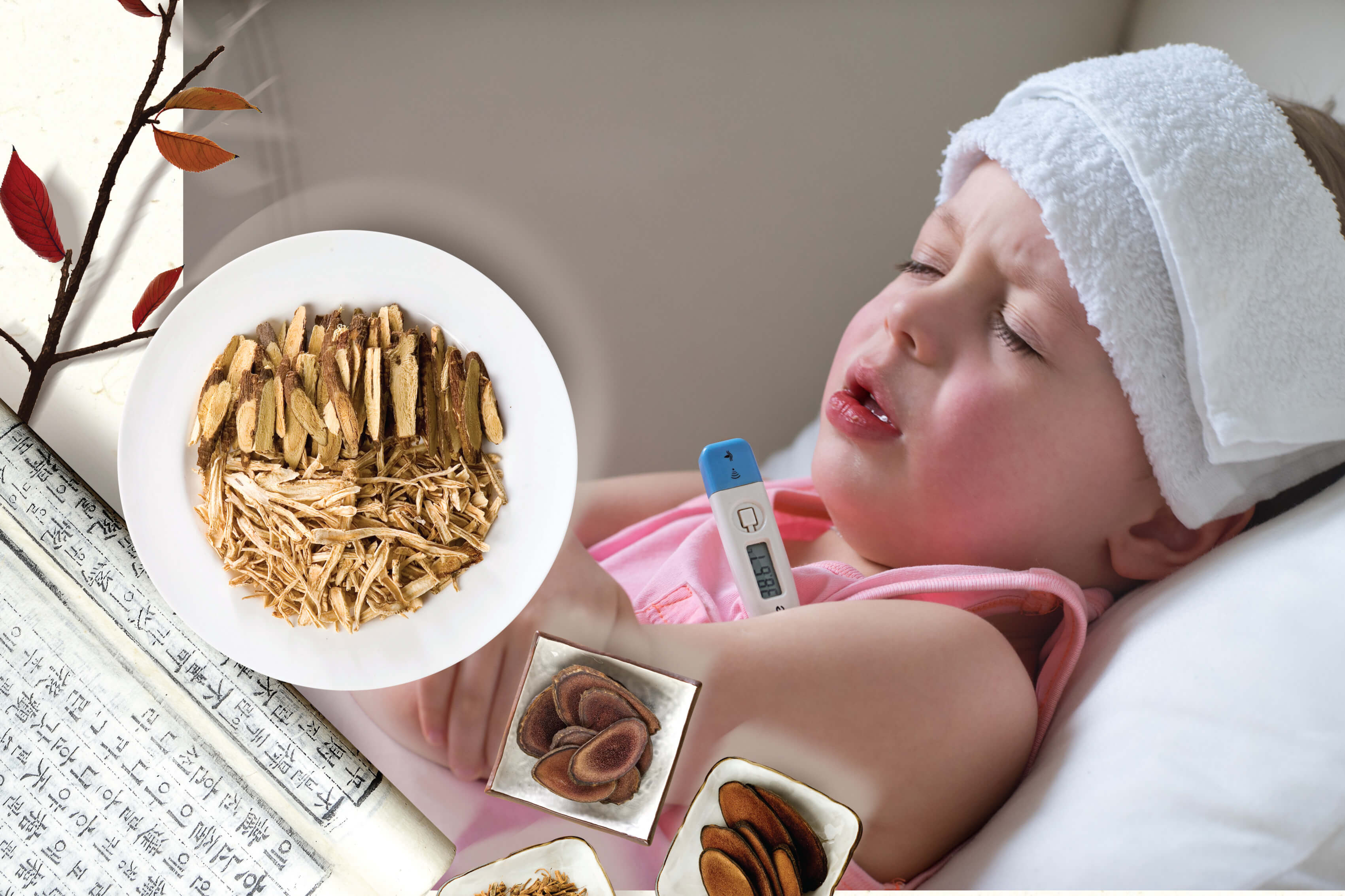 열체질 소양인. 약재