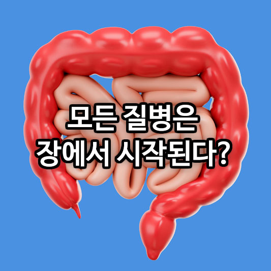 모든 질병은 장에서 시작된다?