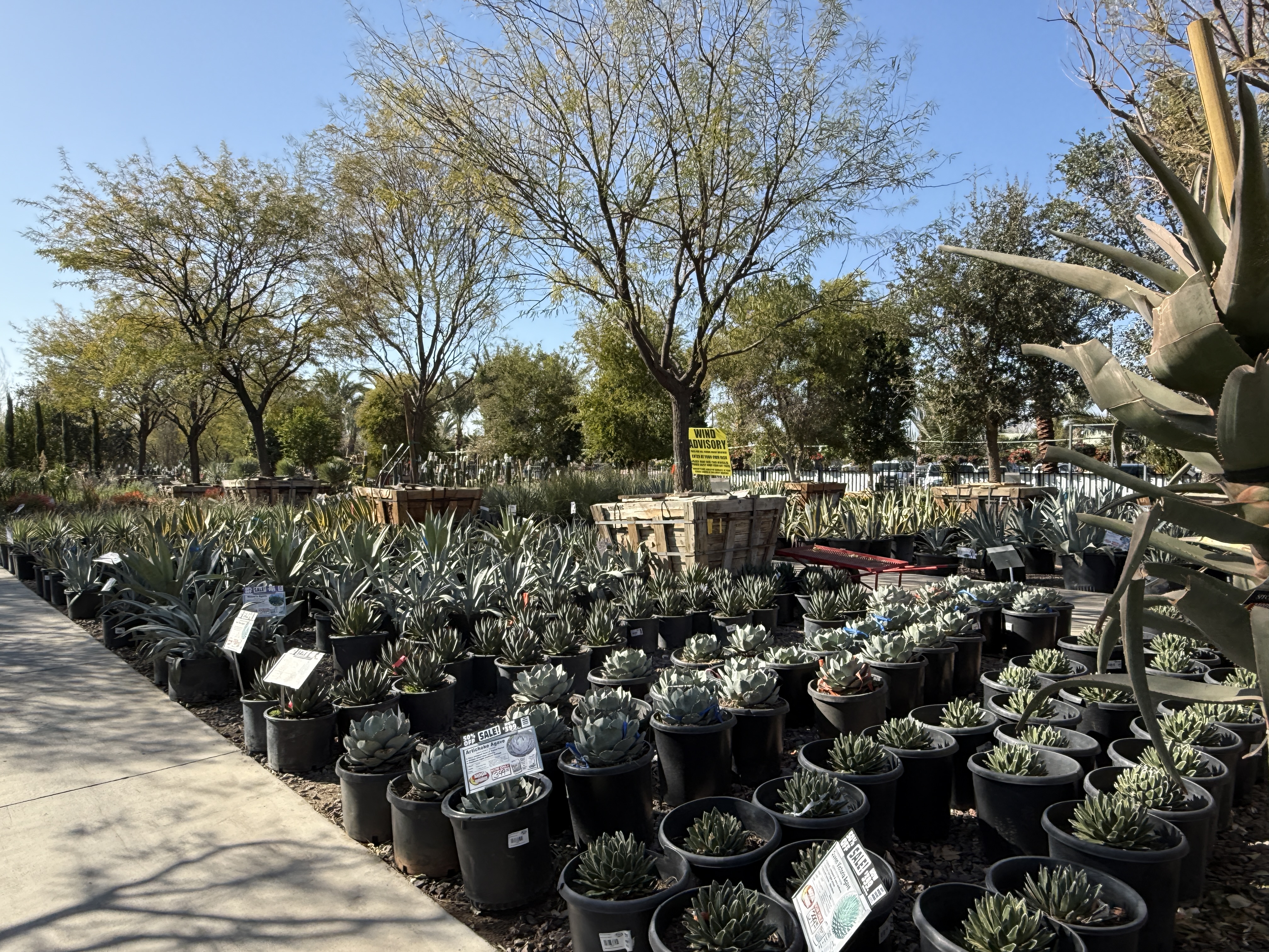 img.jpg?credential=yqXZFxpELC7KVnFOS48ylbz2pIh7yKj8&expires=1764514799&allow_ip=&allow_referer=&signature=IsviAt7mELxDS7kefWoNqOsABUQ%3D