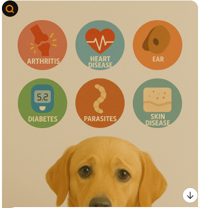 질병별 맞춤 반려견 화식 가이드(신장,피부,위장)사진