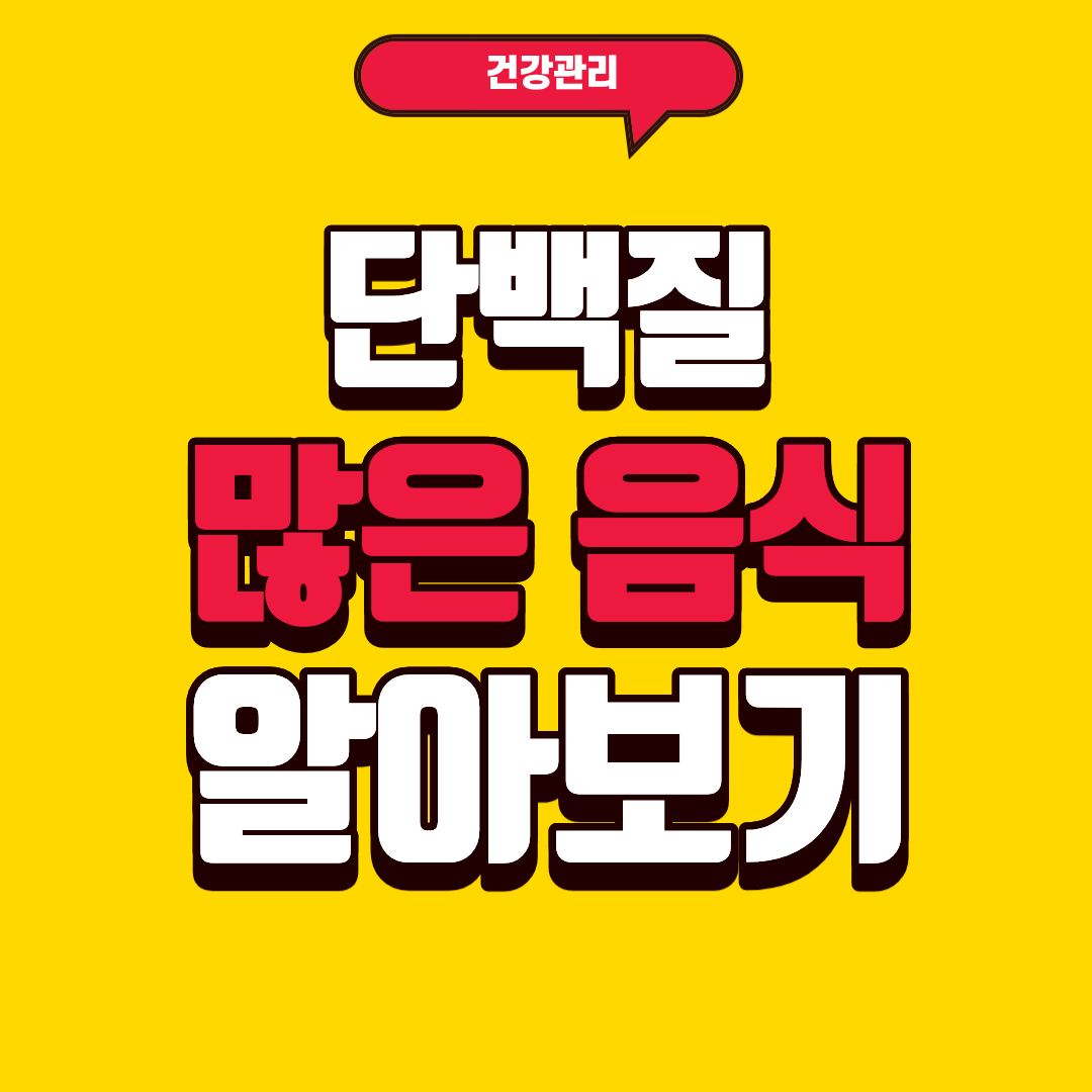 단백질 많은 음식 알아보기