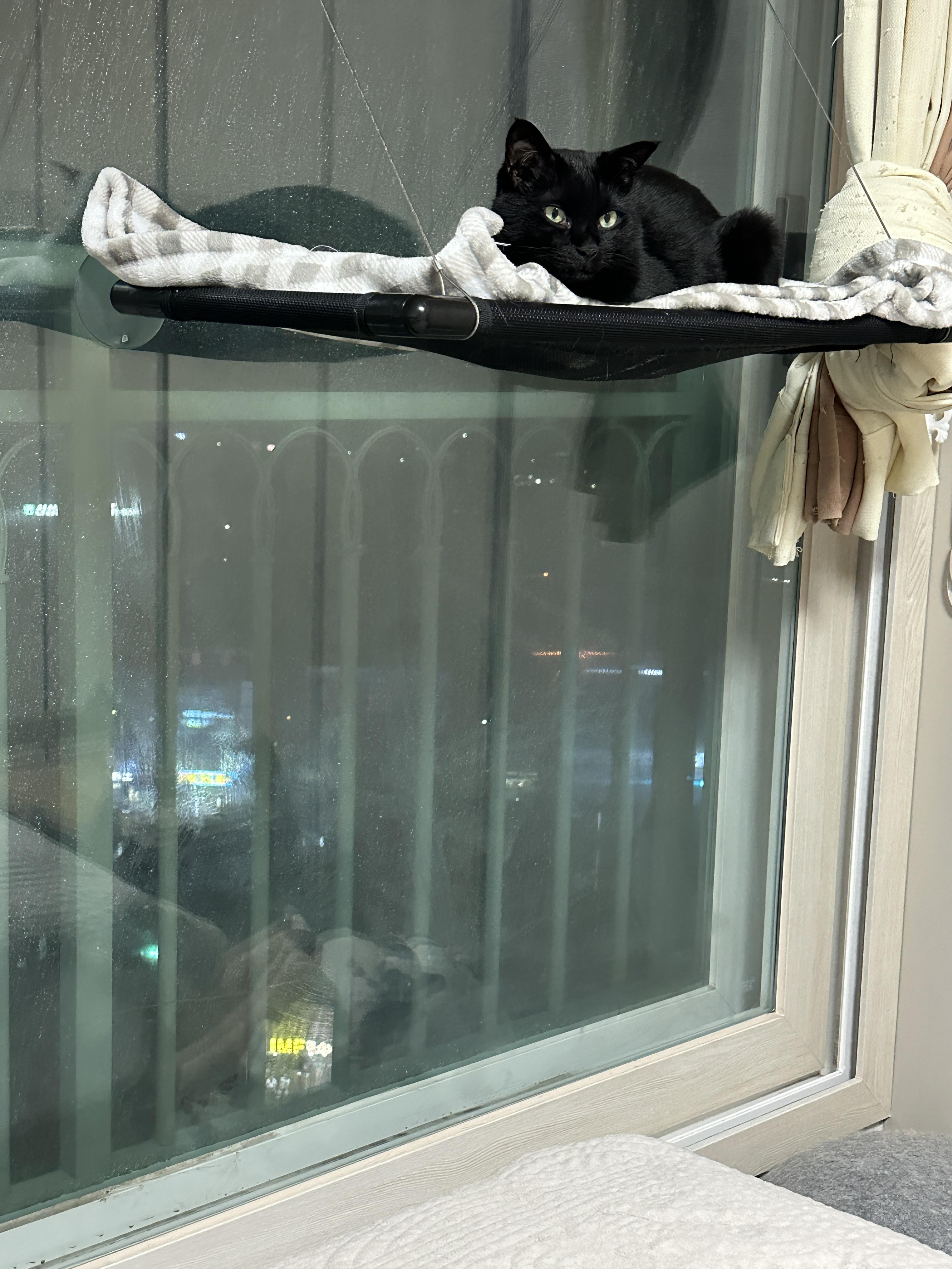 해먹위_건이와_창밖에_많은_빗줄기