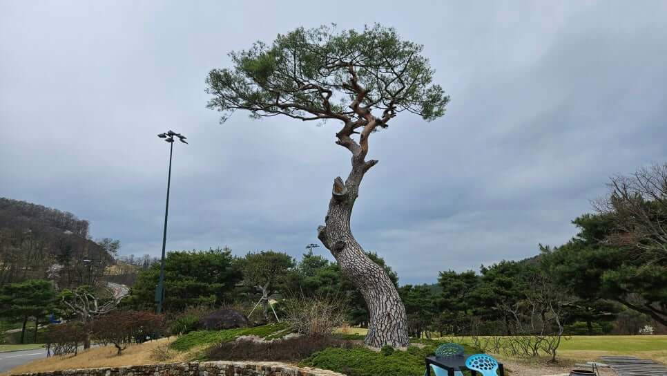 골프장 경험담 청주 세레니티cc 단순한 골프장이 아니라&amp;#44; 자연과 설계&amp;#44; 건축이 어우러진 공간 미학의 산물 완벽에 가까운 골프장