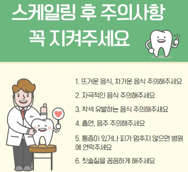 스케일링-치아-관리-주의사항