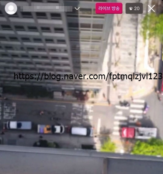 디시 우울증갤러리 강남 테헤란로 빌딩 여고생 투신 사망 사건 카톡 인스타 라방 영상 현장