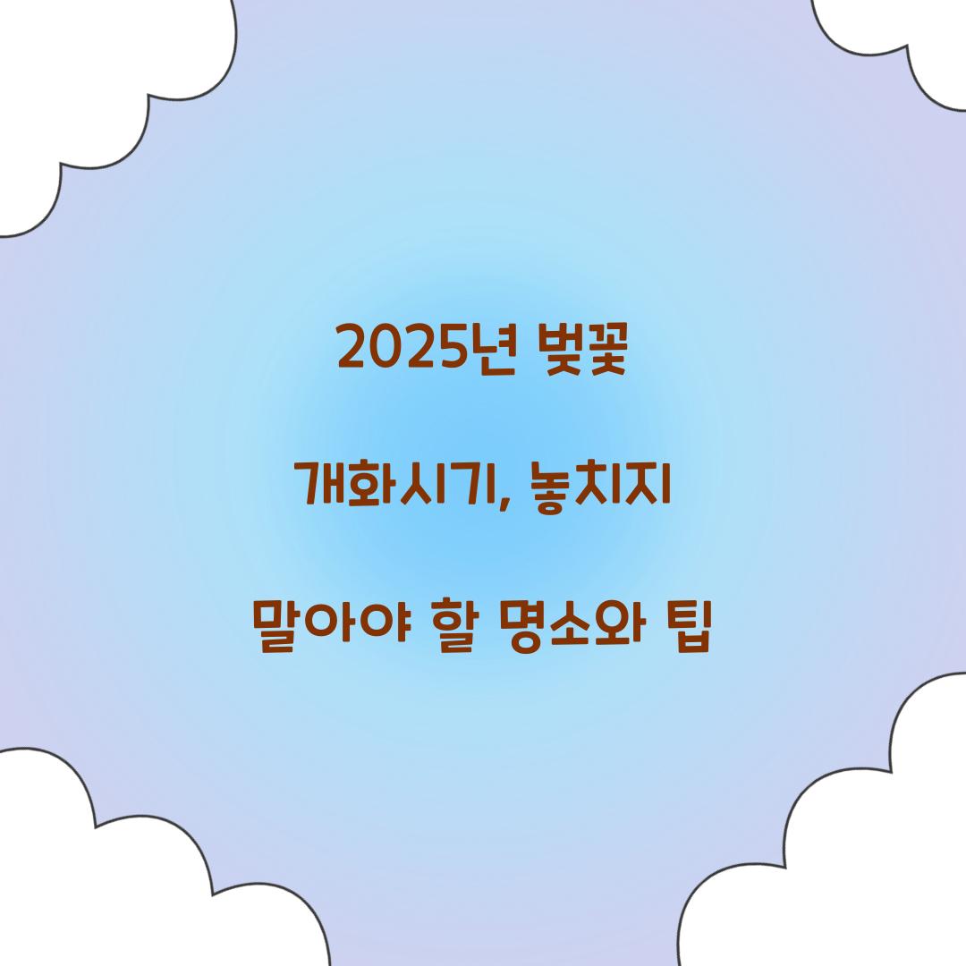 2025년 벚꽃 개화시기