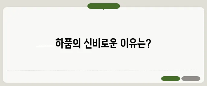 하품이 자주 나오는 이유 피로 때문일까?
