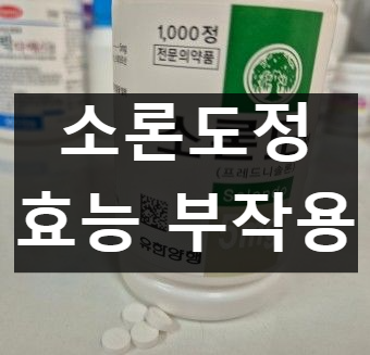 소론도정