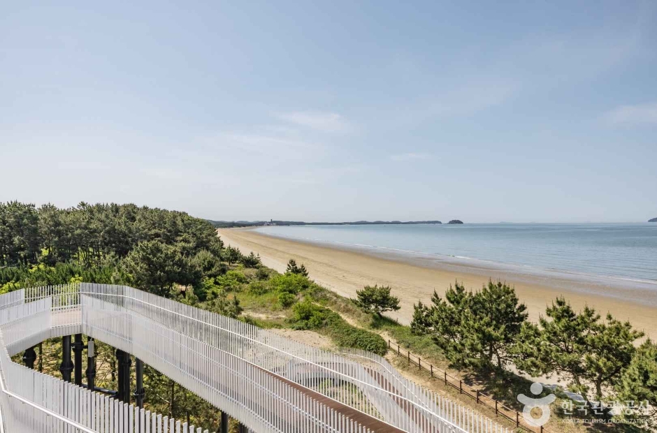 태안 가볼만한곳 베스트10