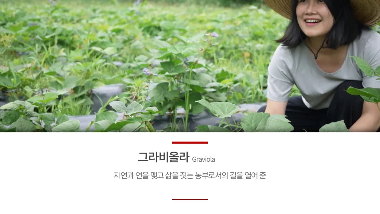 생방송오늘저녁 경북 성주 마을을 점령한 부녀의 정체 샤인머스캣, 블랙 사파이어 포도, 그라비올라 티백, 천연샴푸, 바디워시 전국 택배 온라인 주문 추천