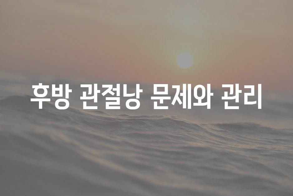 샘플 (88)