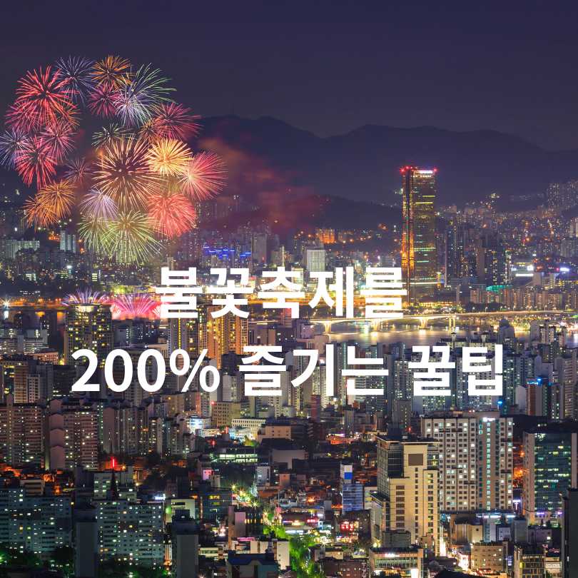 2025 서울세계불꽃축제 노들섬 특별관람석