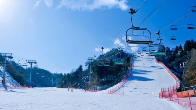 1월 경기도 가볼만한곳 추천 ❘ 국내 겨울 여행지 ❘ 데이트 여행 가족 실내 당일치기