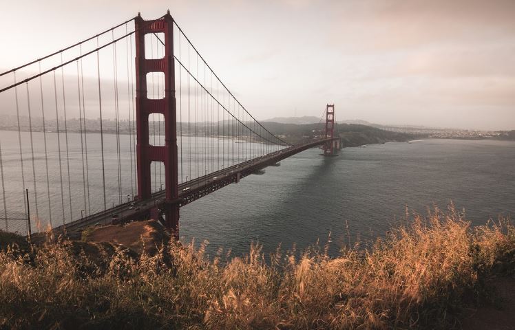 미장 열리는 시간, 주말 토요일 미국주식 열리나요