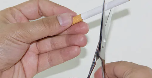 중성지방 낮추는 방법 36