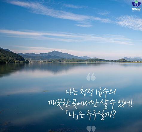 무주 반딧불축제