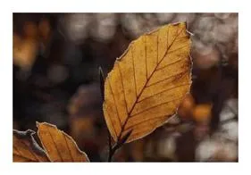 7080 무료음악듣기