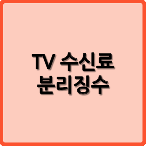TV수신료 분리징수 실시