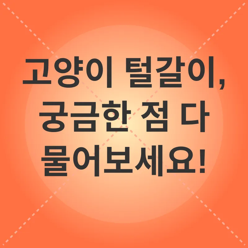 고양이 털갈이 관리_4