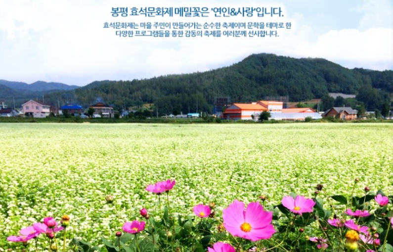 강원도-봉평-효석문화제-사진