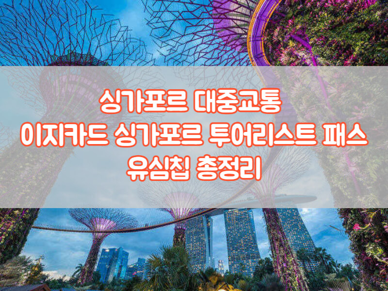 싱가포르 대중교통 지하철 버스 택시 싱가포르 유심칩 총정리